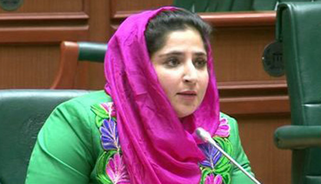 World Should Launch Serious Policy to End War in Afghanistan: Senates